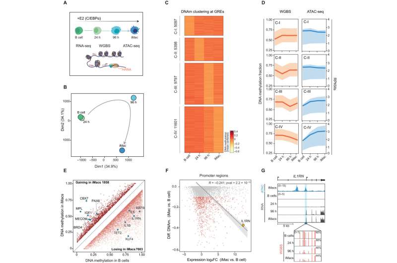 Epigenetics on demand to tackle inflammatory diseases