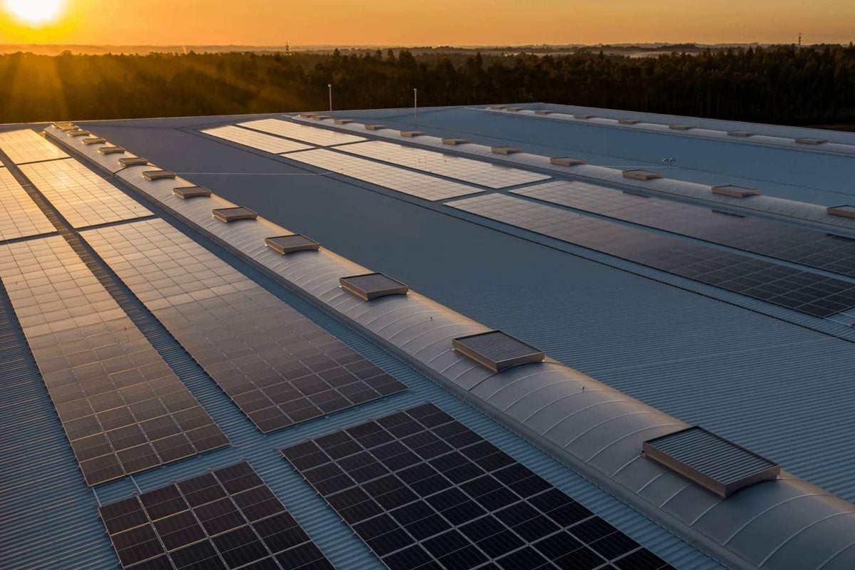 Europe’s renewable energy boom has created an unexpected problem: electricity is now too cheap