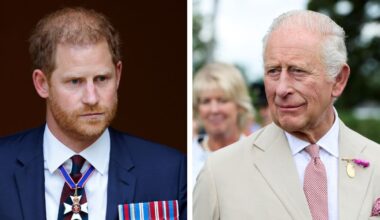 Prince Harry and King Charles Reunion on the Cards for September, Says Royal Expert
