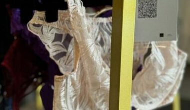 French lingerie on display in London