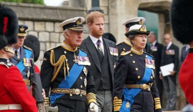 Prince Harry May Turn to ‘Ultimate Spare’ Princess Anne to Heal Rift With Royal Family: Report