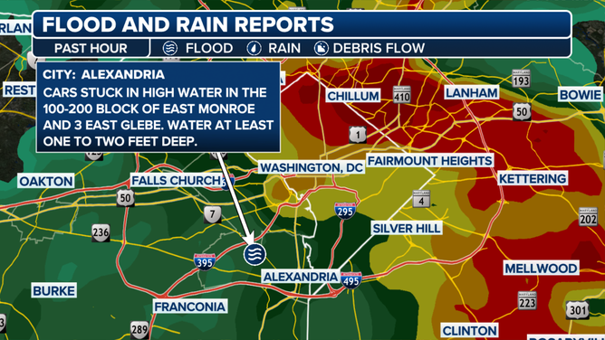 Rescues reported in Alexandria, VA ON 7/9/2025.