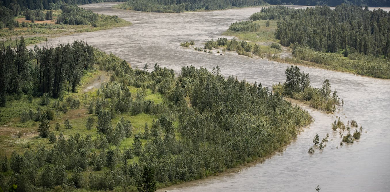 Overuse of riprap to prevent riverbank erosion is harming B.C. rivers
