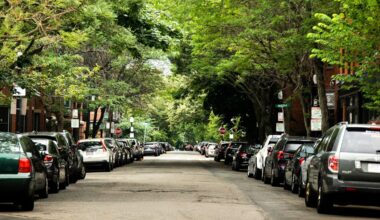 Which is best, urban trees or cool roofs?