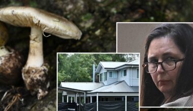 Two books on the mushroom trial are already cooking. What are the risks and rewards of fast books on big news?