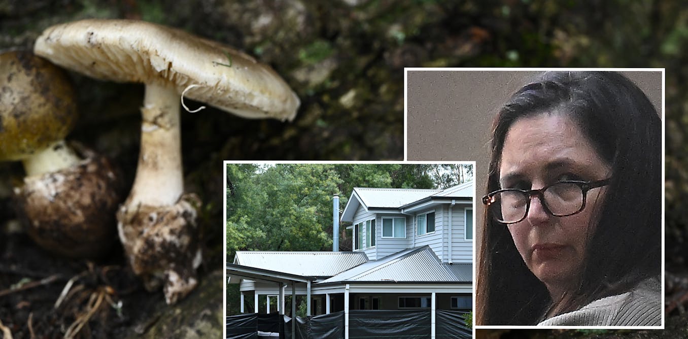 Two books on the mushroom trial are already cooking. What are the risks and rewards of fast books on big news?
