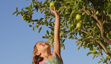Should I limit how much fruit my child eats because it contains sugar?