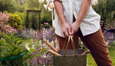 As climate change hits, what might the British garden of the future look like?