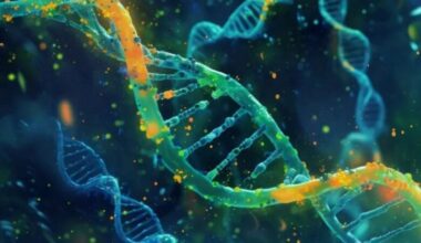 Men face dramatically increased risk of dementia due to common genetic mutation