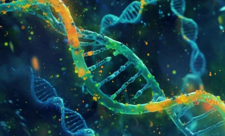 Men face dramatically increased risk of dementia due to common genetic mutation