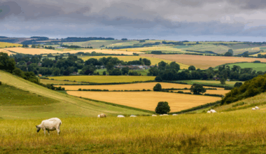 Savills UK | Record activity in Great Britain’s Farmland Market in 2024 unlikely in 2025