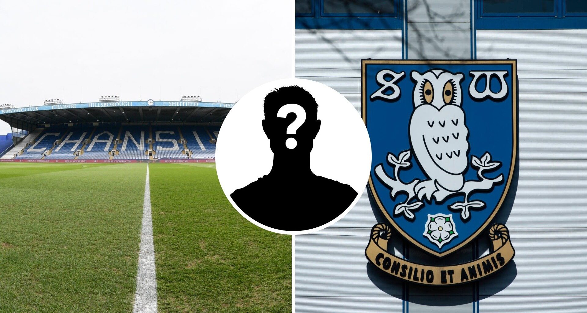 Sheffield Wednesday suffer another blow amid financial crisis as 'selfless' Owls legend departs for free