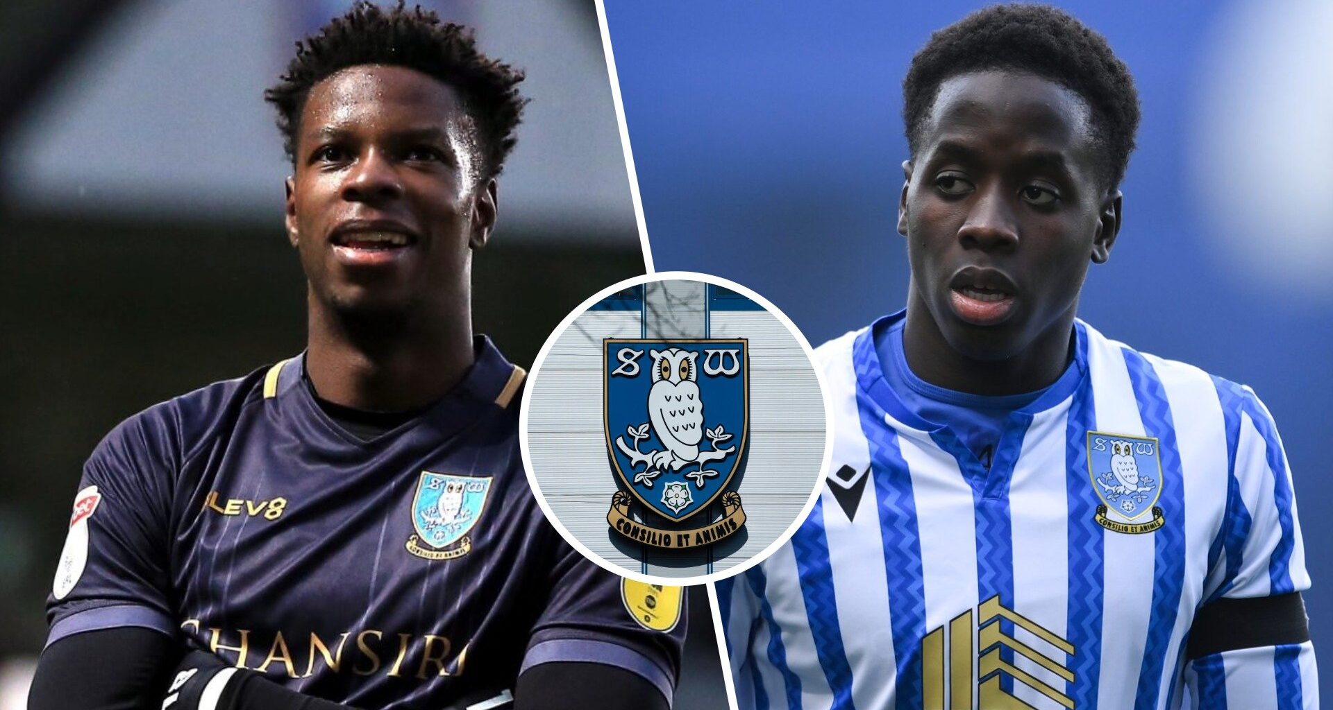 Sheffield Wednesday's most expensive sales of all time, Djeidi Gassama should have made the list