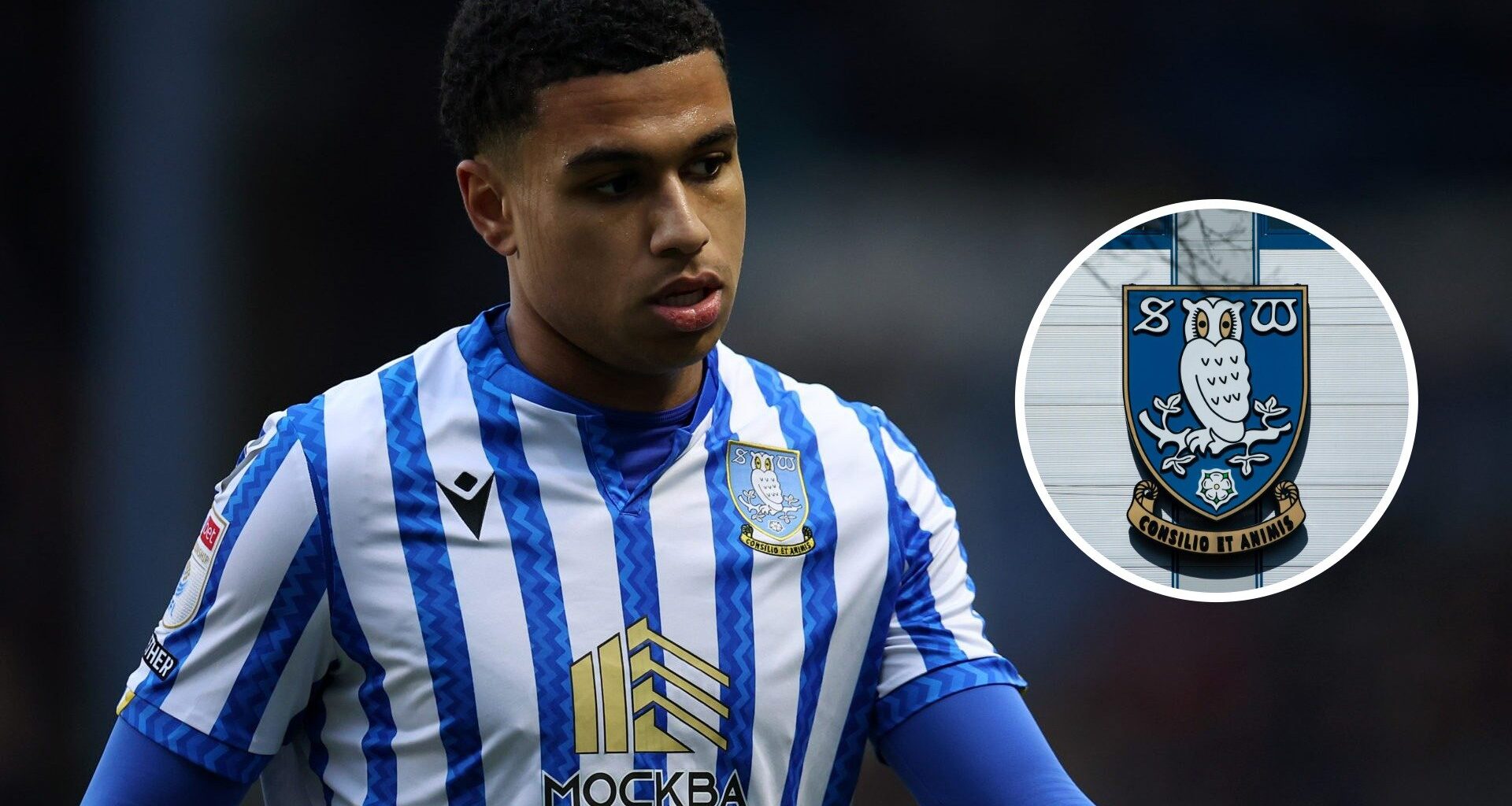 Shea Charles opens up on 'very good' Sheffield Wednesday loan, Owls fans must wonder what if