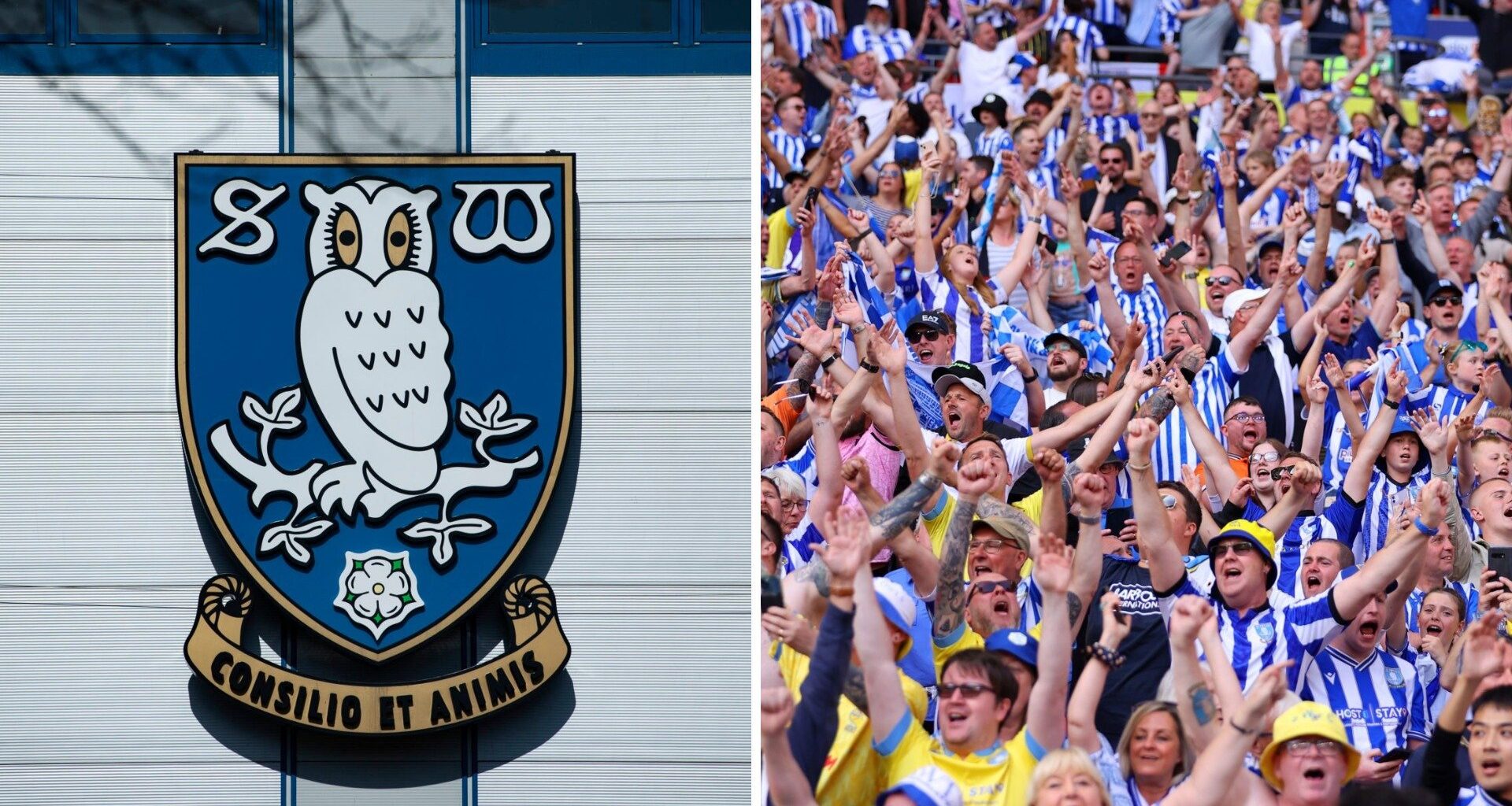 Sheffield Wednesday fans finally have something to cheer about as they react to 'great news'