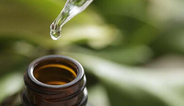 Could tea tree oil help treat acne or athlete’s foot?