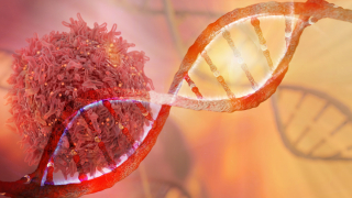 Quebec's Hereditary Cancer Gene Linked to One Ancestor