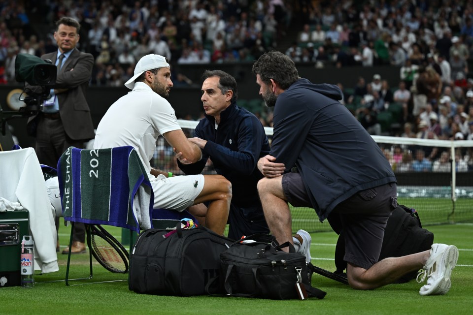 Dimitrov needed medical attention for an apparent muscular injury