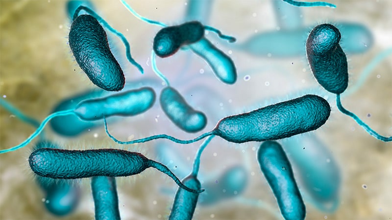 What Europe’s GPs Need to Know About Vibriosis