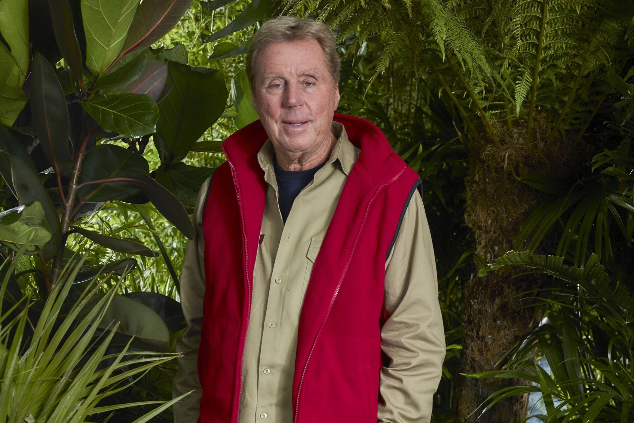 Harry Redknapp might be returning for all-star 'I'm a Celebrity'