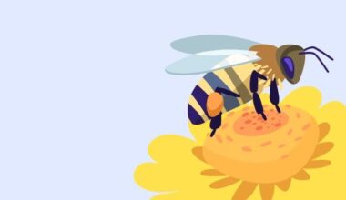 Molecular Mechanisms Underlying Honey Bee Fate