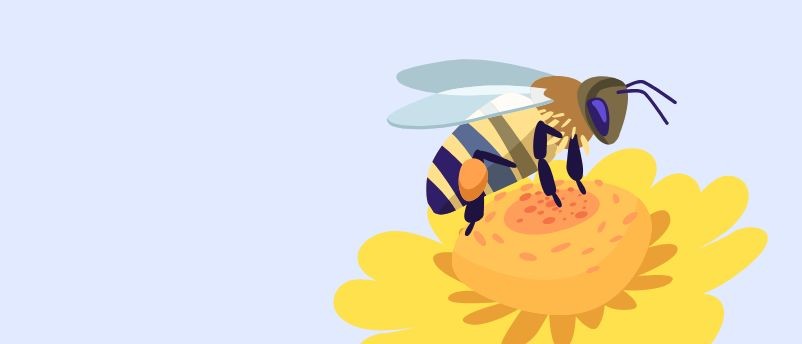 Molecular Mechanisms Underlying Honey Bee Fate