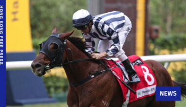 Animal rights NGO urges investigation into racehorse death