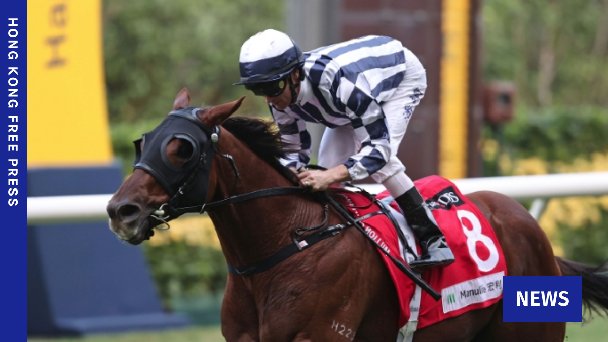 Animal rights NGO urges investigation into racehorse death