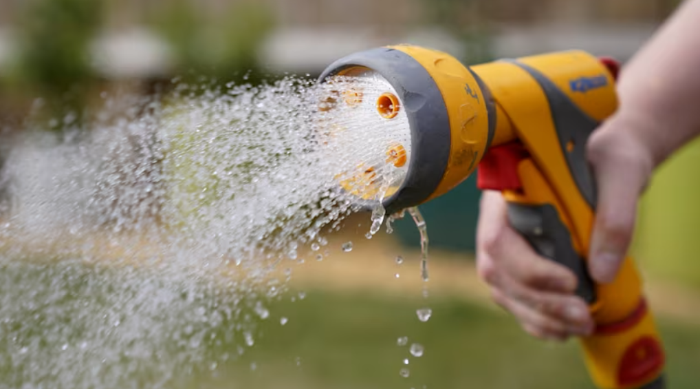 Water company brings in hosepipe ban after dry spring and heatwaves – Brighton and Hove News