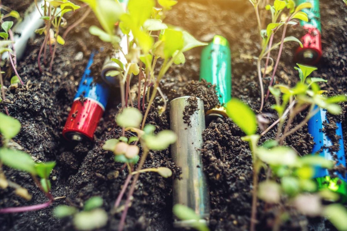 How worn-out batteries are being planted to harvest clean fuel and fight pollution