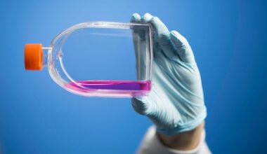 A person wearing blue surgical gloves hold up a bottle of purple liquid in a laboratory