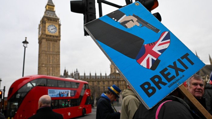 Anti-Brexit campaigners protest at Westminster