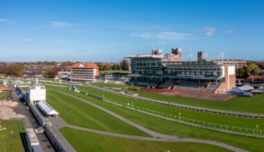 Four bets for Ascot and York tomorrow