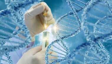 Sinhalese migrated from South India, mixed heavily with Adivasi post-migration: genome study