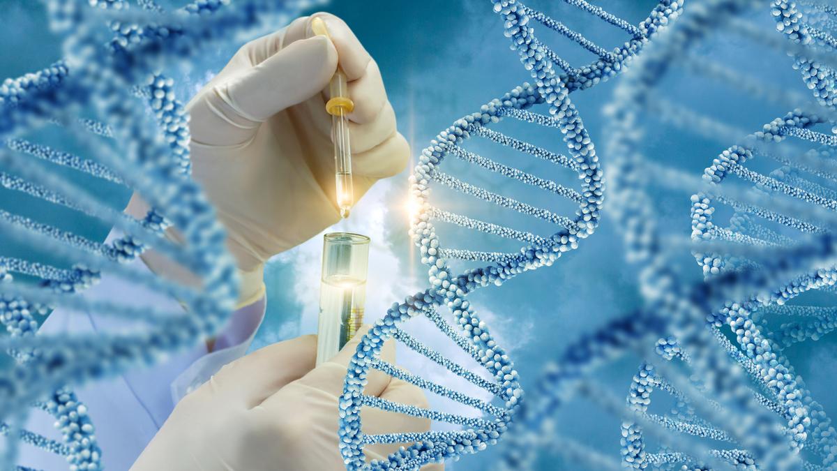 Sinhalese migrated from South India, mixed heavily with Adivasi post-migration: genome study