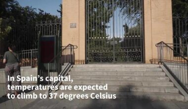 France expecting peak temperatures as heatwave hits Europe