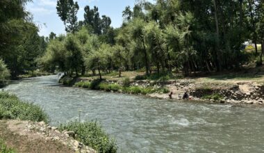 Otters spotted in Kashmir waters, and residents are both thrilled and wary | Wildlife News