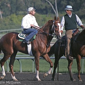 How Secretariat’s offspring contributed to the fabled career of D. Wayne Lukas | Topics: Lady's Secret, Secretariat, Secretariat's 50th anniversary race-by-race, Terlingua, D Wayne Lukas, Children of Secretariat, D. Wayne Lukas, Image Of Greatness