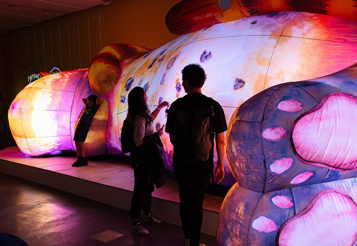 people stood by glowing cat installation
