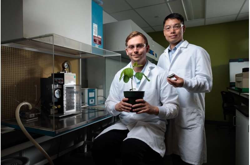 Invention improves 'gene gun,' targets efficiency gains in plant research