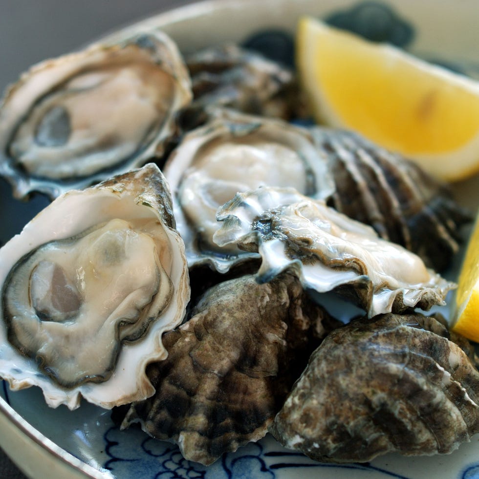 iron rich foods oysters