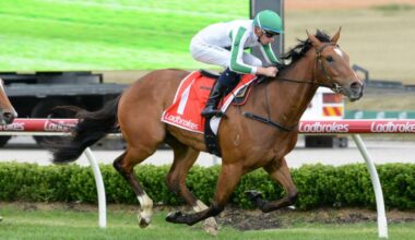 Jewel Bay is open to improvement