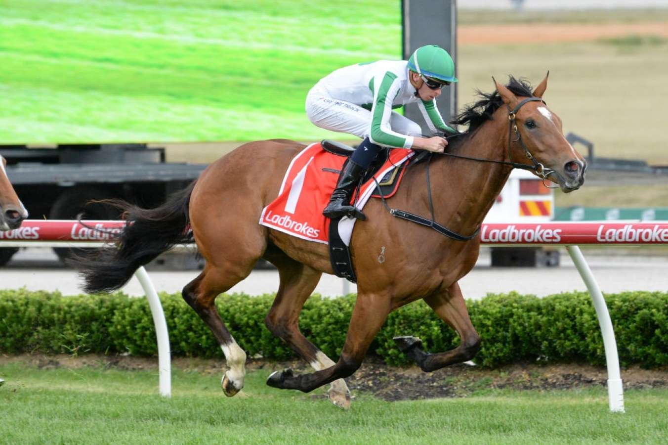 Jewel Bay is open to improvement