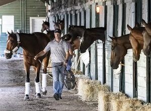 What’s been happening: Haskell date for Journalism, Sovereignty latest, ketamine fine for Gosdens and more … | Topics: Seven Days in Racing, Jim Dandy, Sovereignty, Travers Stakes, Haskell Invitational, Ka Ying Rising, Saratoga, John & Thady Gosden, Monmouth Park, Journalism
