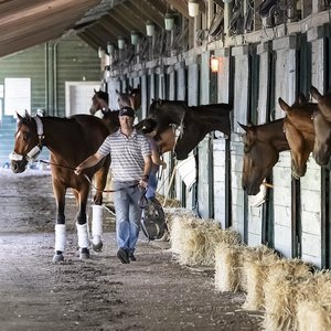 What’s been happening: Haskell date for Journalism, Sovereignty latest, ketamine fine for Gosdens and more … | Topics: Seven Days in Racing, Jim Dandy, Sovereignty, Travers Stakes, Haskell Invitational, Ka Ying Rising, Saratoga, John & Thady Gosden, Monmouth Park, Journalism