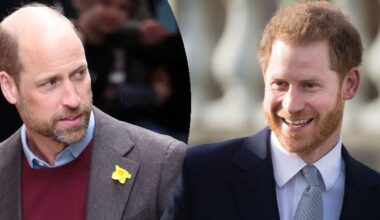 Prince Harry's giving ‘notes' to Prince William who ‘won't admit wanting anything else'