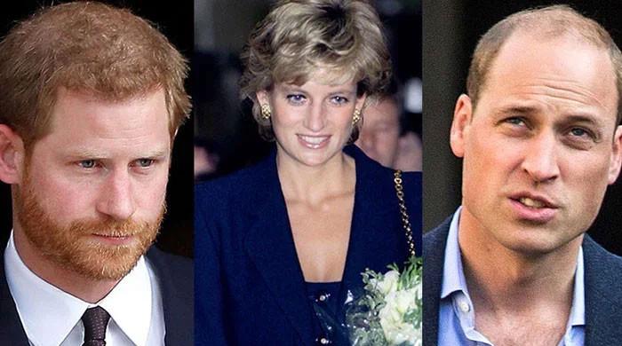 How William, Harry keep Princess Diana's memory alive for their children