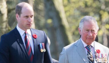 King Charles could 'sacrifice' himself to protect monarchy's future