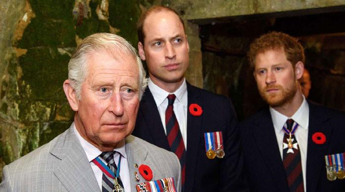 Prince Harry longs for peace with King Charles, Prince William