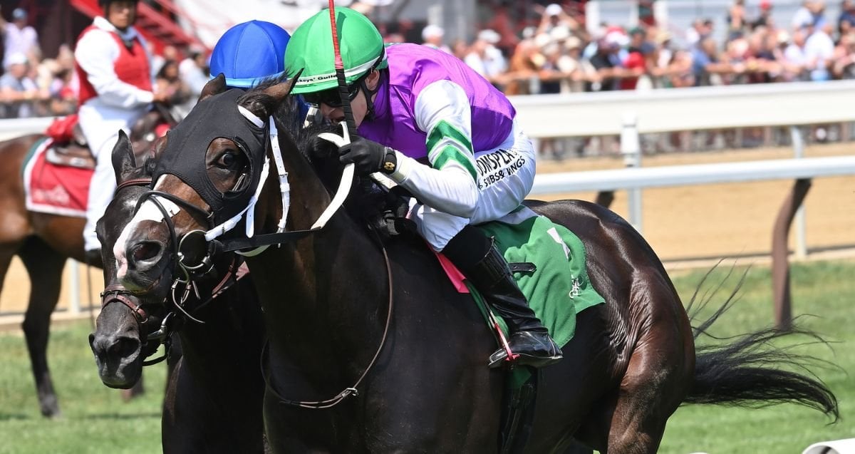 ﻿Leon Blue gets the gold in $150K Rick Violette